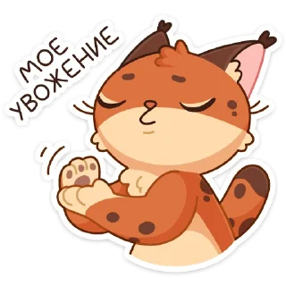 👍