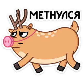 🐽
