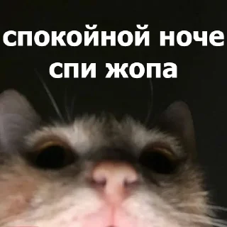😴