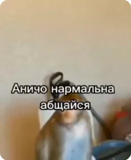 🗣
