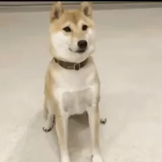 👍