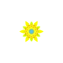 🌼