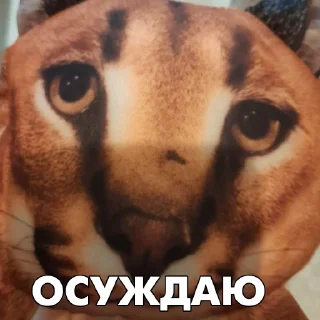 😡