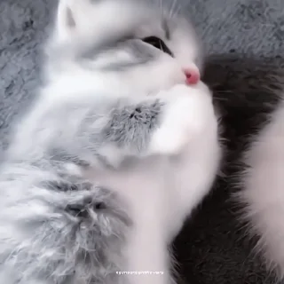 🍙
