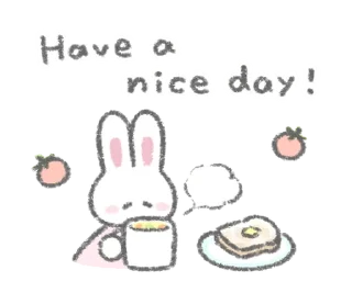 🐰