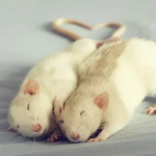 ❤️