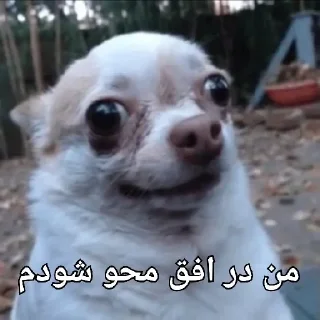 😐