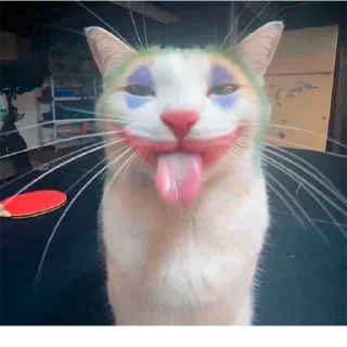 🤡