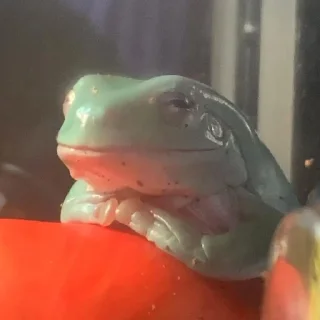 😌