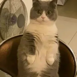 😐