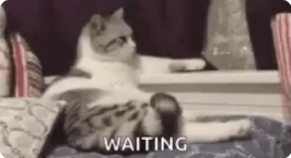 ⏳
