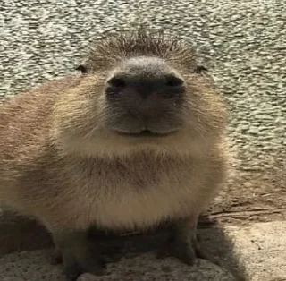 😐