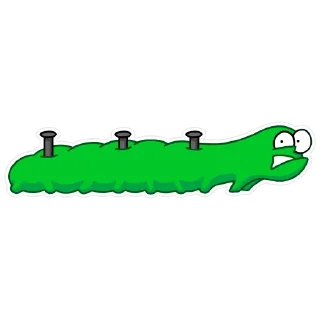 🐛