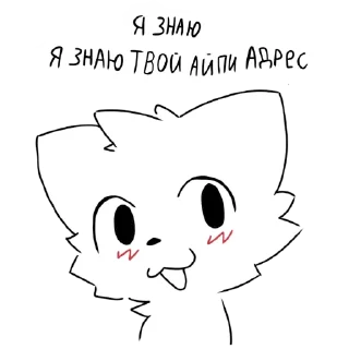 🐱