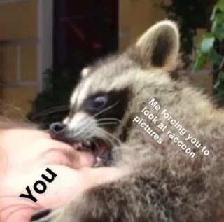 😎