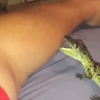 🥰