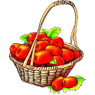 🍅