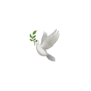 🕊