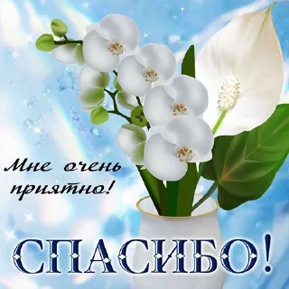 😊