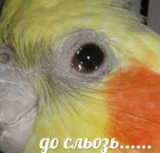 😭