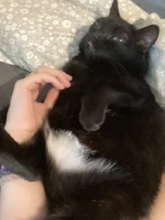 😠