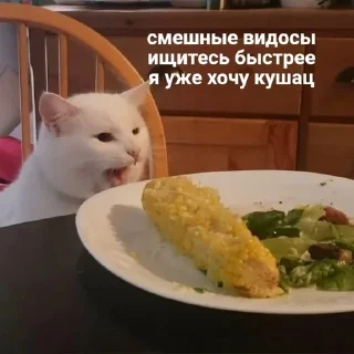 🥺
