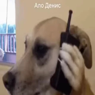 🫡