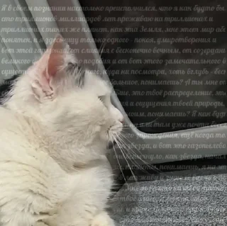 😭