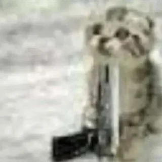 🔫