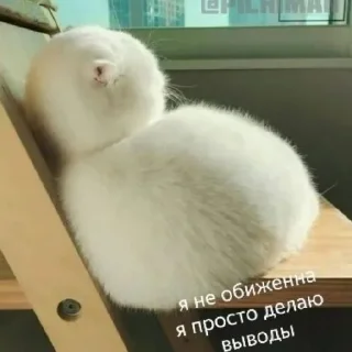 🙄