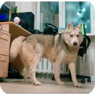 👍