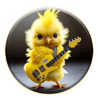🎸