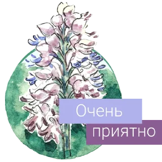 Редкие растения России