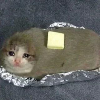 🥺