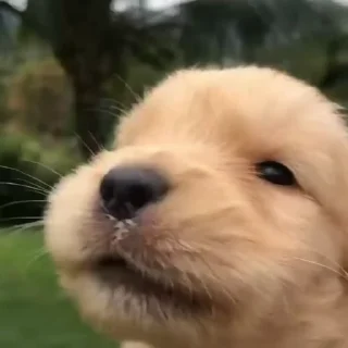 🤤