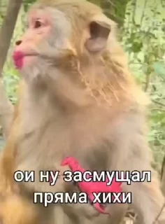 😊