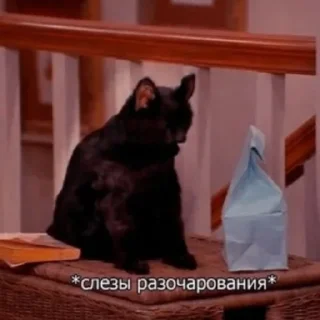 😭
