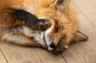 ☺️