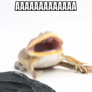 😤