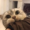 spokysa