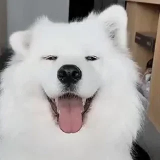😁