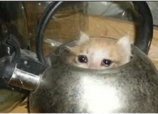 😢