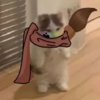 🐱