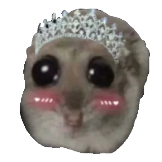 👸