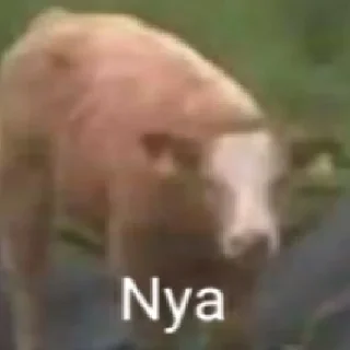 😖