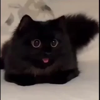🤩