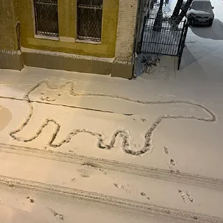 ❄️