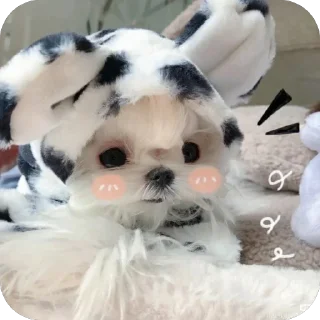 🤭