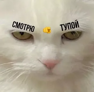 🤖