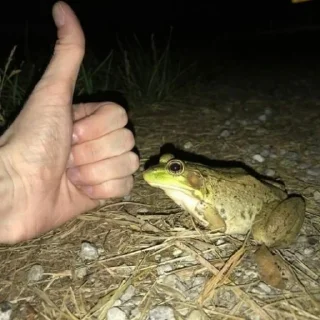 👍